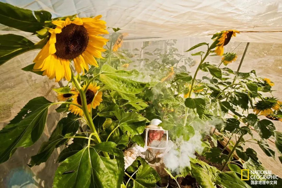 电影诞生以来最伟大的30部作品,最伟大的作品详解