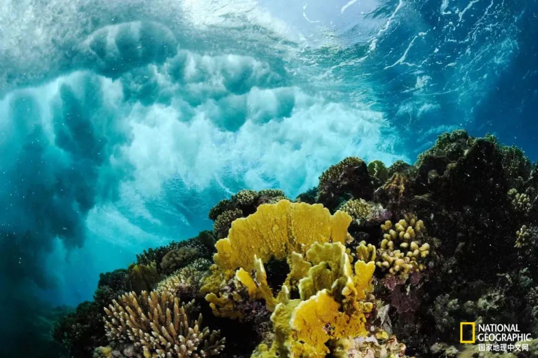 最伟大的作品6张照片,30秒最伟大的作品