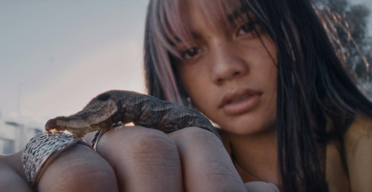 生化危机完整故事线沉浸式体验,switch生化危机456合集ign评价