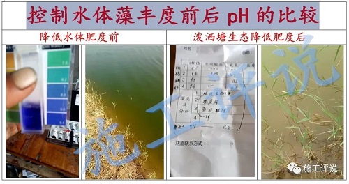 赞!一天一个价,江苏30条对虾冲到24块!南方也缺货,下个月还会持续涨价?但虾农如何熬过高温天?