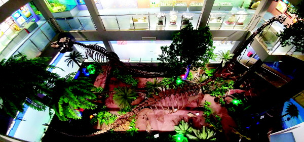 桂林人春节去哪里玩最好,桂林人去哪里旅游便宜又好玩