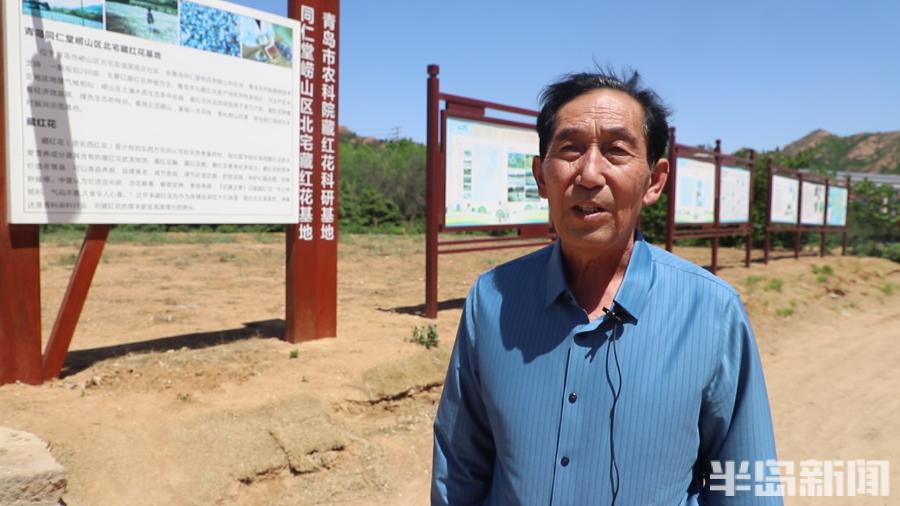 松下问童子言师采药去书法落款,松下问童子言师采药去采的什么药