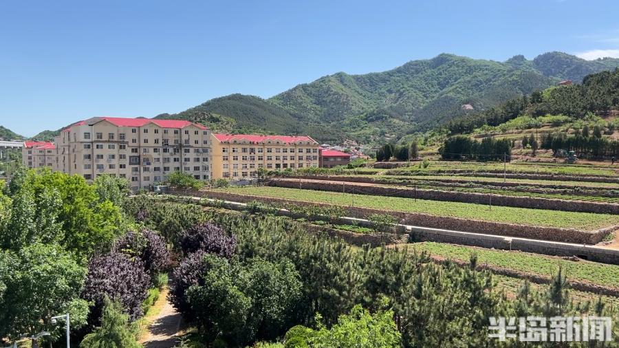 松下问童子言师采药去书法落款,松下问童子言师采药去采的什么药