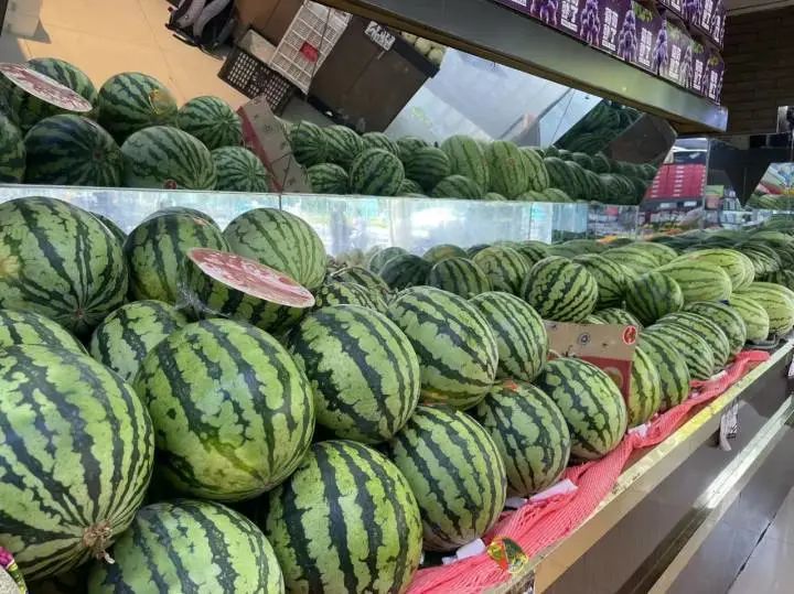 轻松拍拍瓜月入三四万！这个工作这么赚钱，太羡慕了