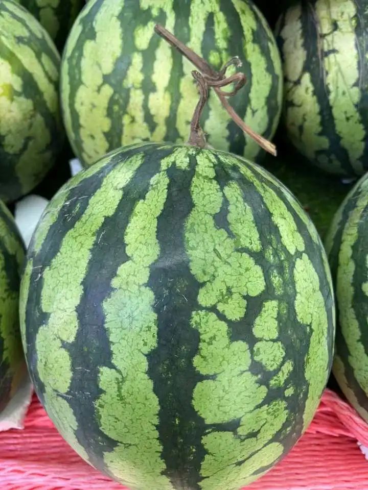 轻松拍拍瓜月入三四万！这个工作这么赚钱，太羡慕了