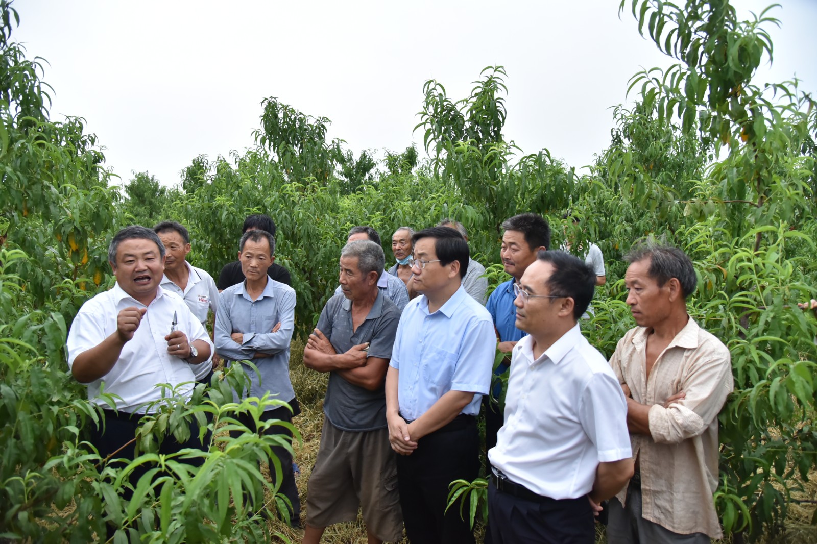 助果农增收新技术,淳化县果农技术培训