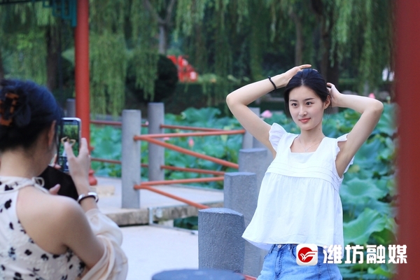 莲叶无穷碧映日荷花别样红美景,莲叶无穷碧映日荷花别样红的风景