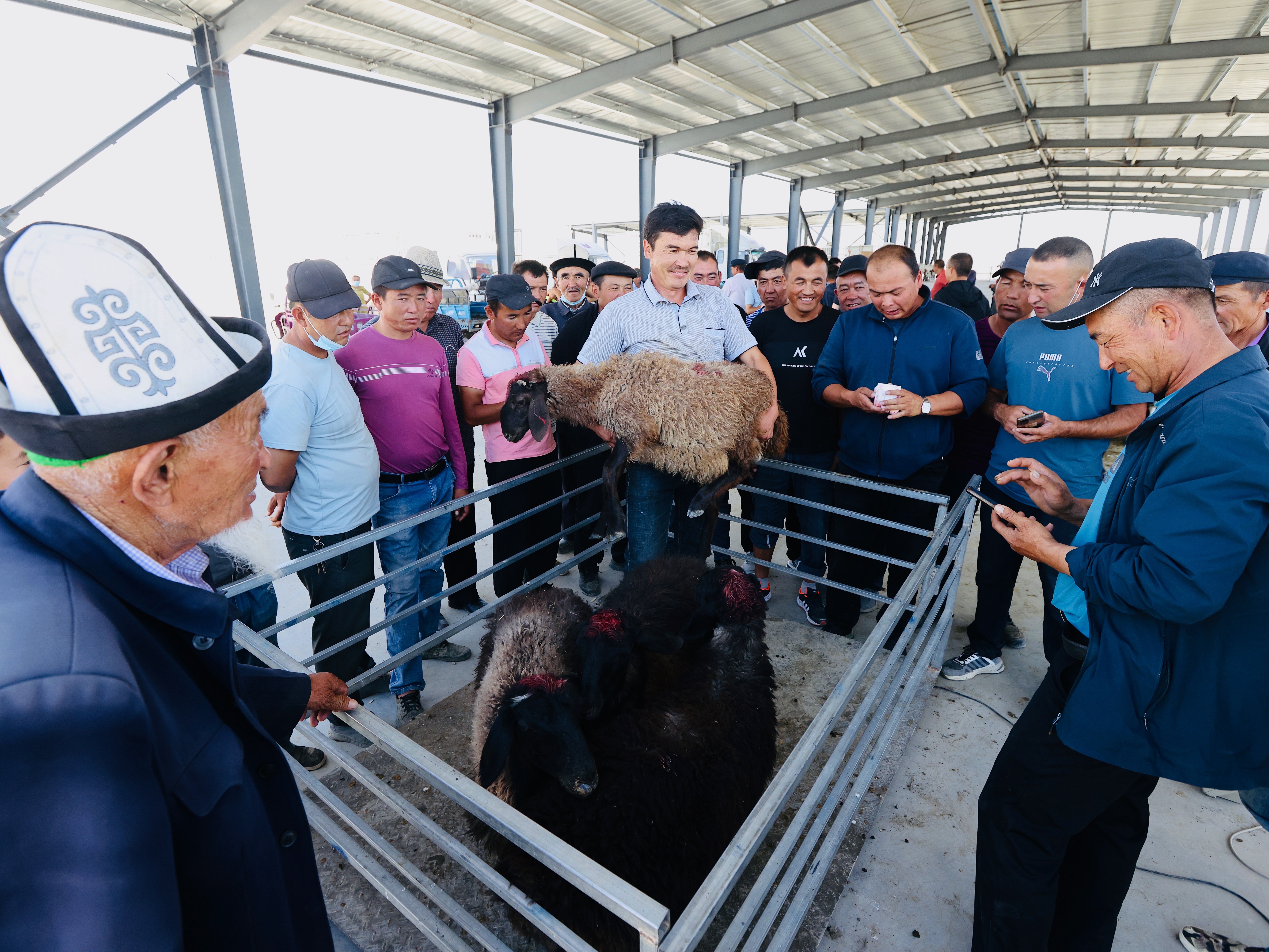 乡村变美了,乡村更美丽农民更幸福