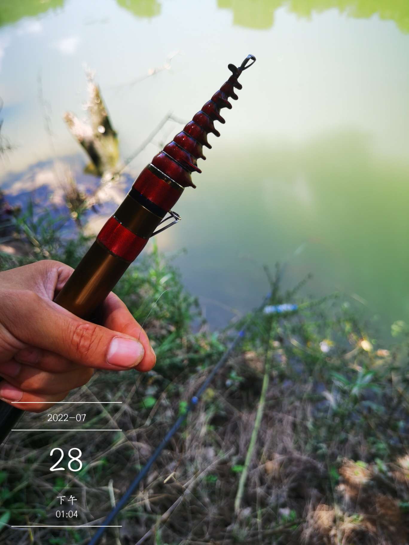 「七月鱼获」骗最憨的巨草！上最憨的洋当