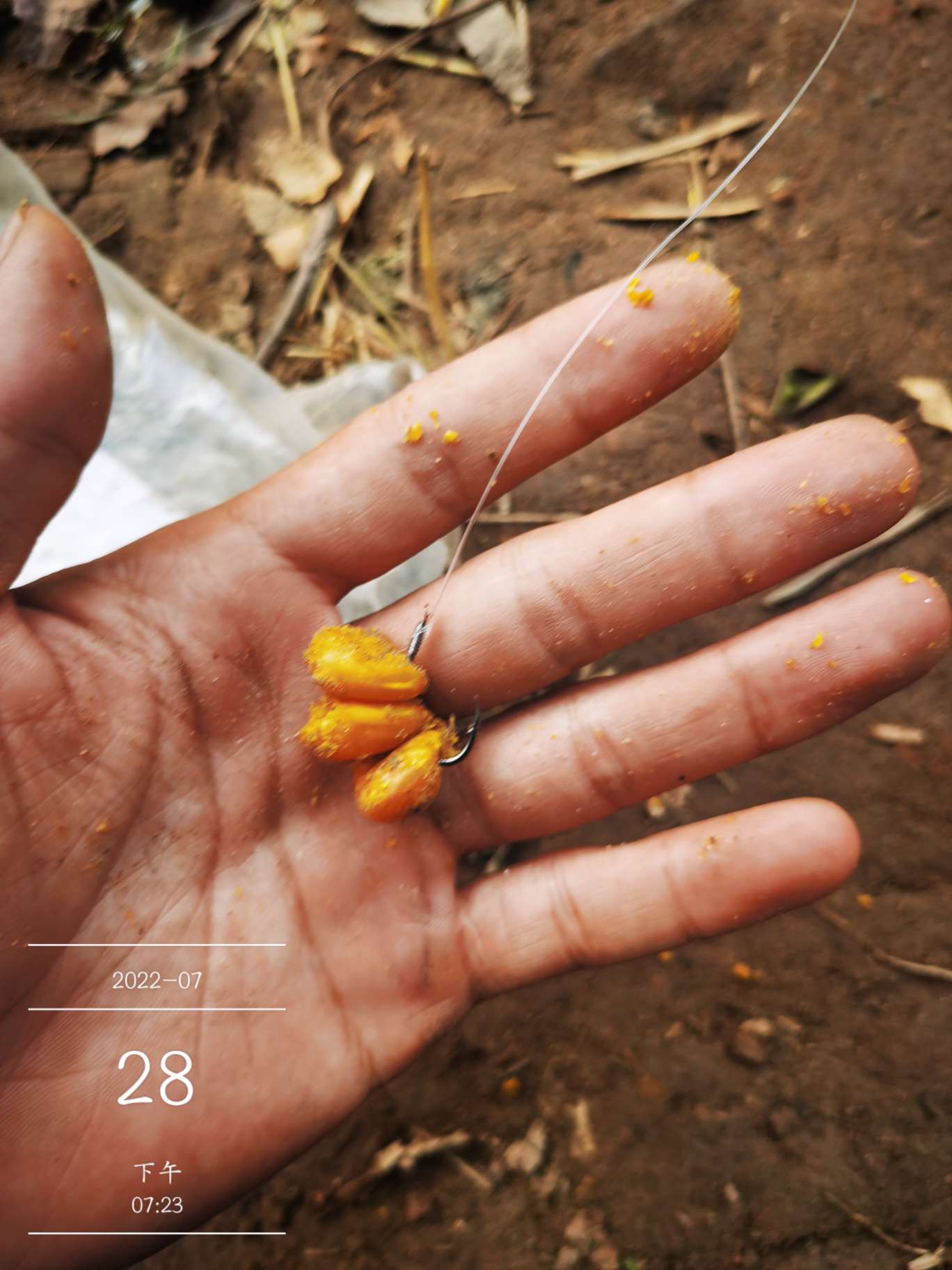 「七月鱼获」骗最憨的巨草！上最憨的洋当