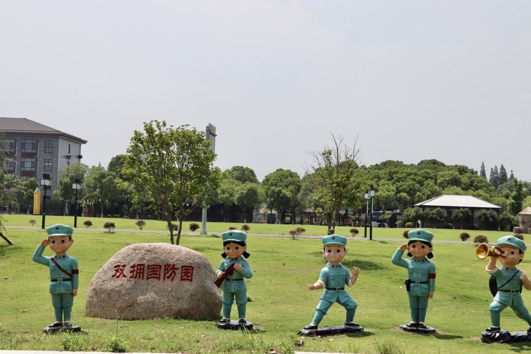 深·看｜难得举城作一庆，苏城双拥花开别样红