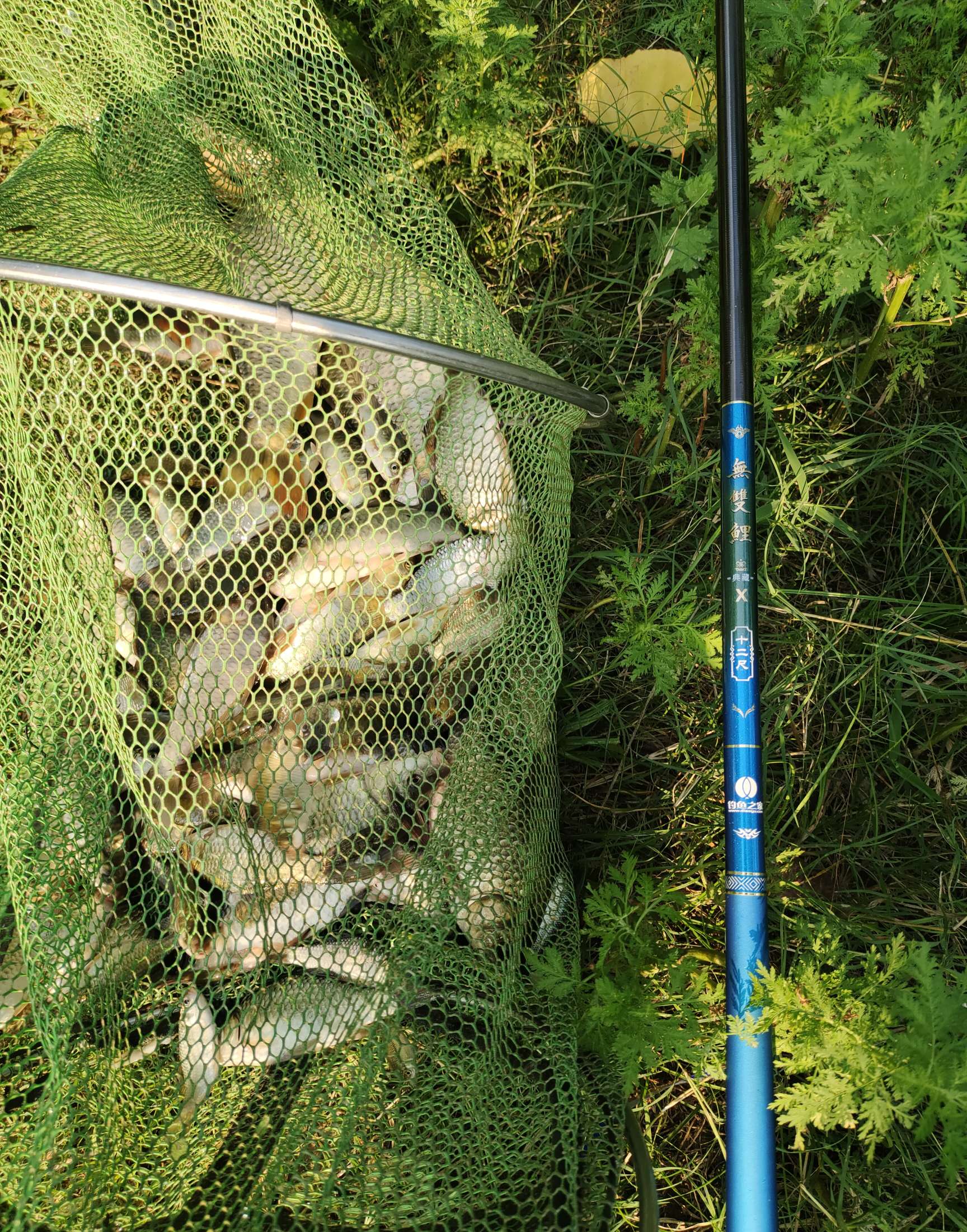 一根杆打天下,一竿打天下硬度