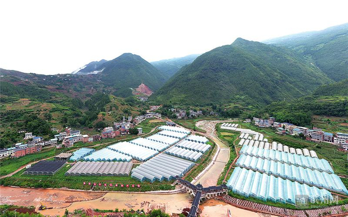江河牵手爱洒奉节——“跨越山海‘舆’心灵相约”滨州采访团走进奉节采访活动掠影
