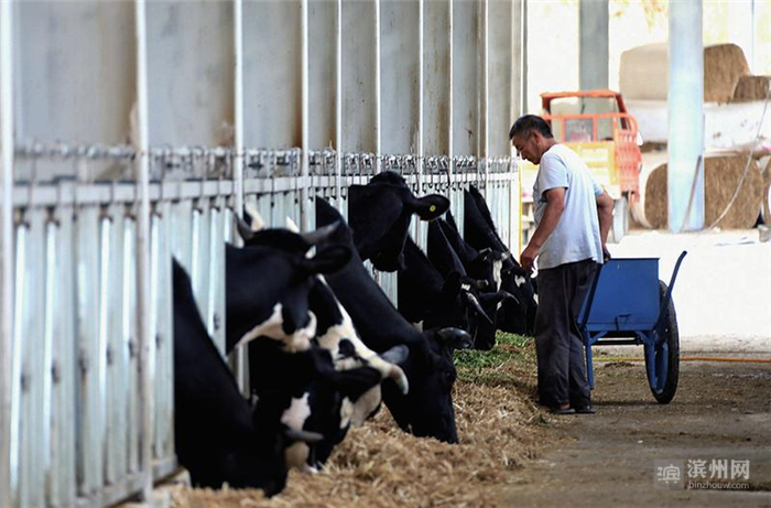 江河牵手爱洒奉节——“跨越山海‘舆’心灵相约”滨州采访团走进奉节采访活动掠影