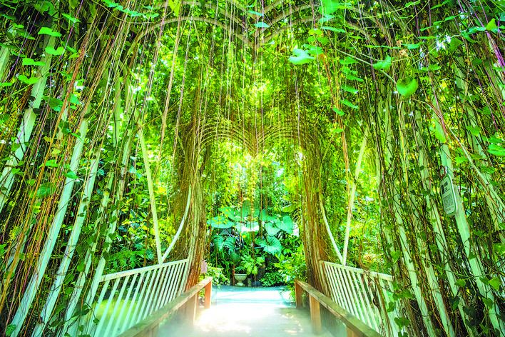 合肥创新智慧园,合肥智慧公园