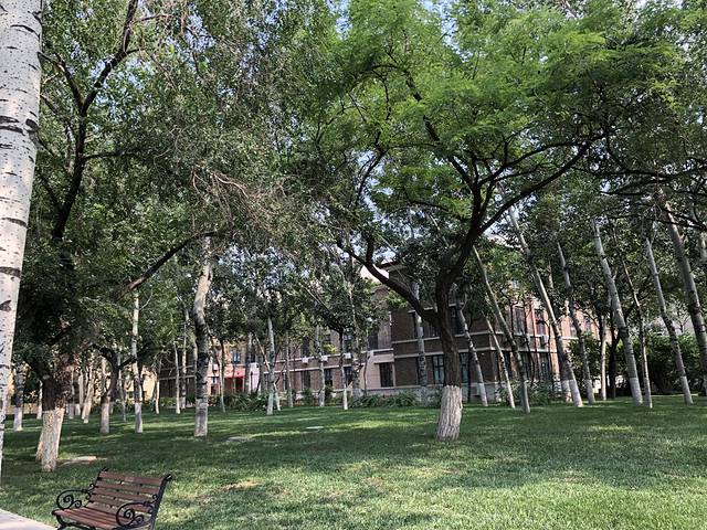 天津美景之旅,天津小资旅游