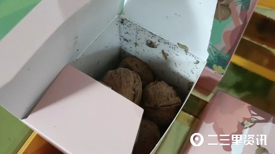 娲涘崡绾粊鏍告瑙嗛,娲涘崡绾粊鏍告