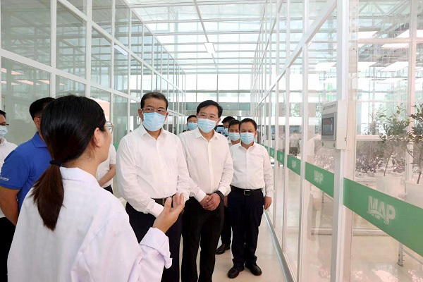 王立在枝江市调研时强调把抗旱减灾放在当前工作的突出位置全力以赴保供水保秋收保民生