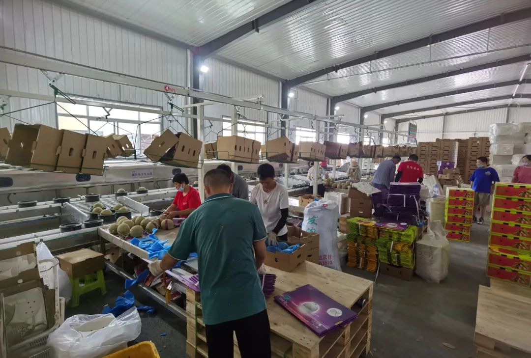 大学习大讨论大宣传大实践，我市“稳保促”工作出实招见实效