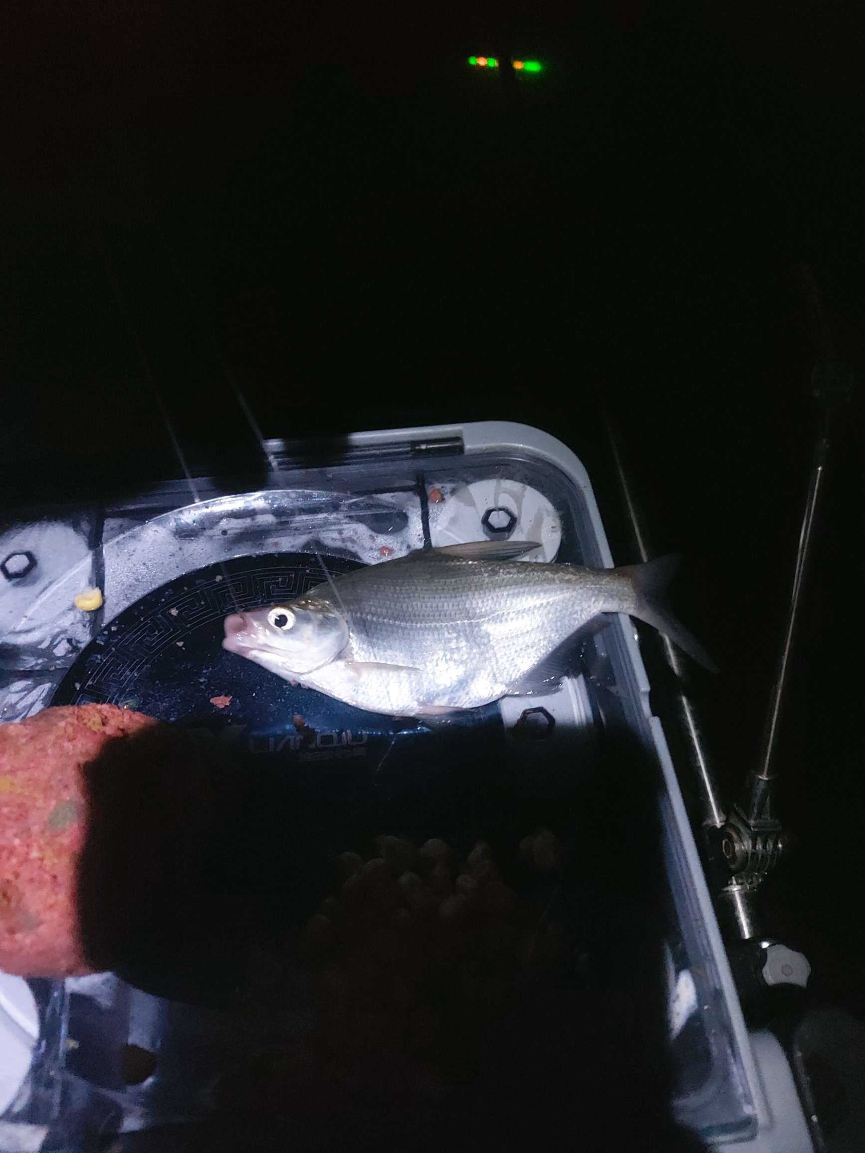 提前做“功课”，果然是不虚此行