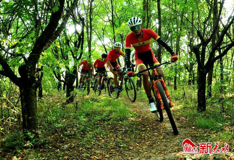 麦积区自行车训练俱乐部,天水体校武术训练照片