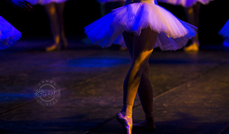 蜜蜂在金黄油菜花上采蜜视频,蜜蜂在油菜花采蜜