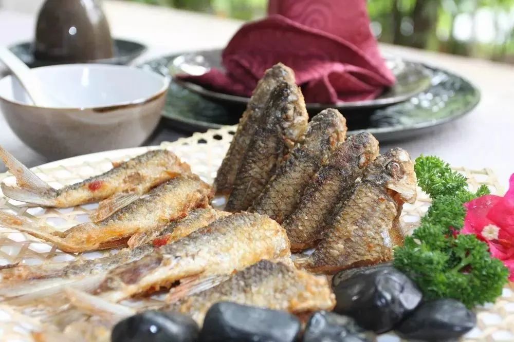 保亭雨林风景,保亭黎族苗族自治县旅游攻略