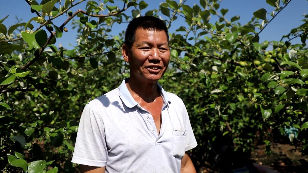 果蔬产业推动乡村振兴,发展果蔬产业助力乡村振兴