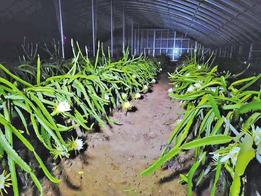 南方水果何以“嫁”到济南？数字赋能，加速改变你的生活