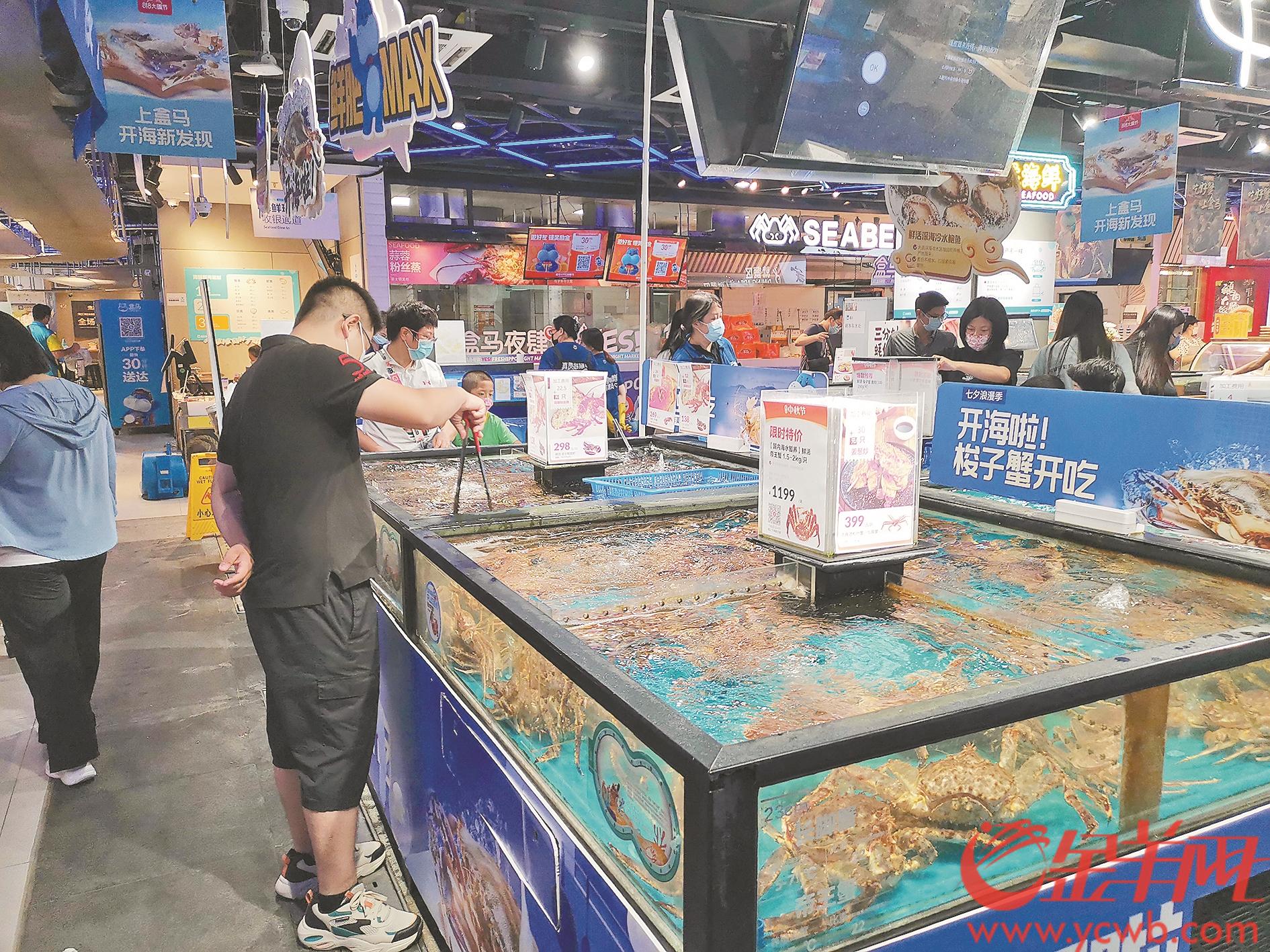 阳澄湖大闸蟹10月底吃还好吗,十一月份的阳澄湖大闸蟹还能吃吗