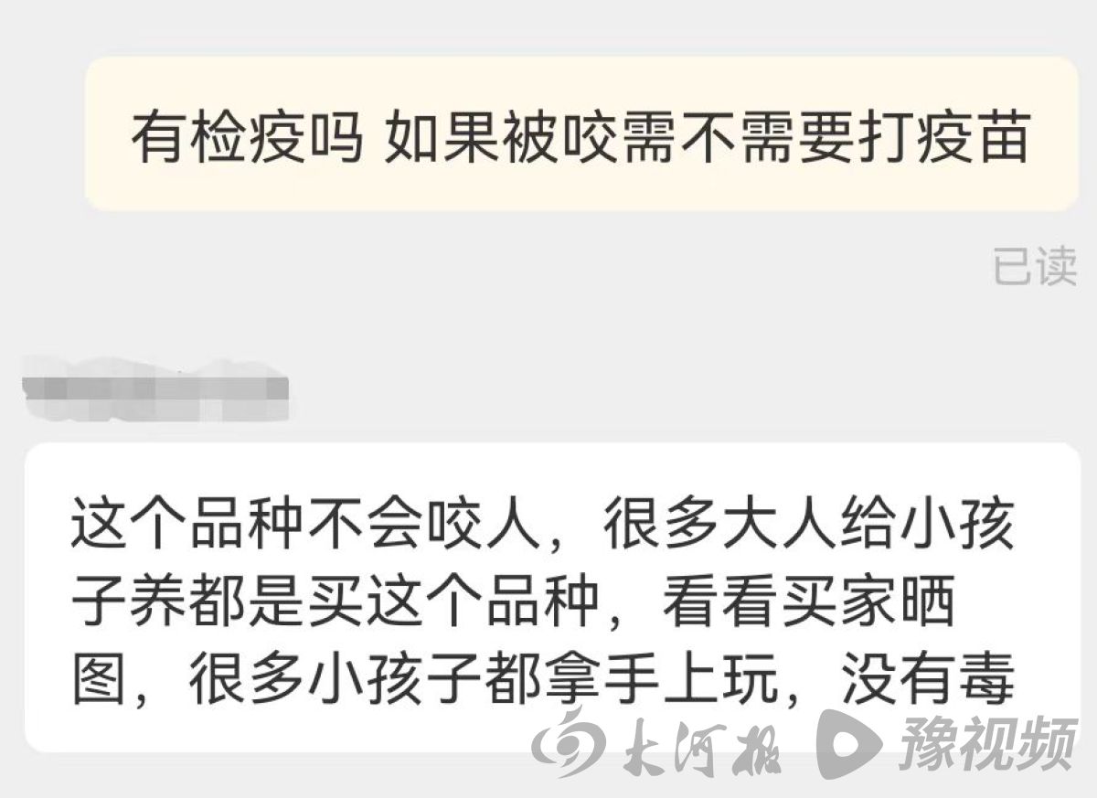 鳄雀鳝的秘密,鳄雀鳝快递视频