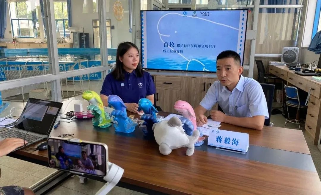 寄一只“江豚”给你，请查收