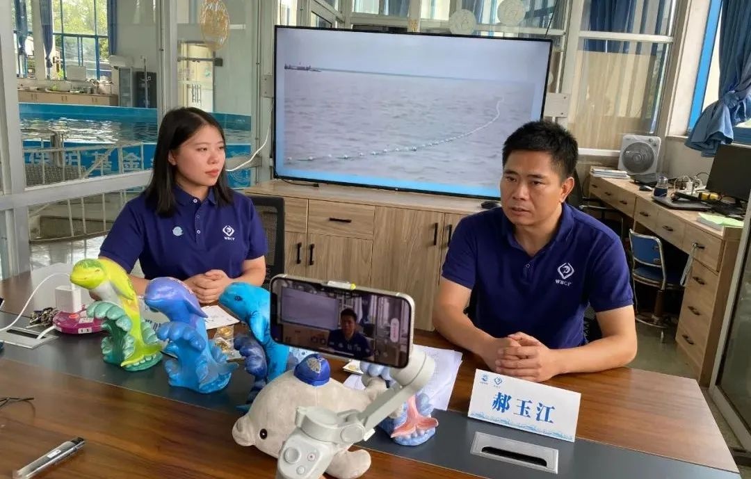 寄一只“江豚”给你，请查收