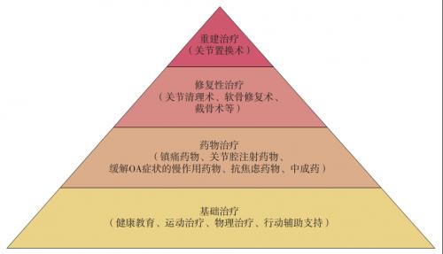 膝关节骨性关节炎的国际顶级治疗,骨性关节炎的物理治疗阶段