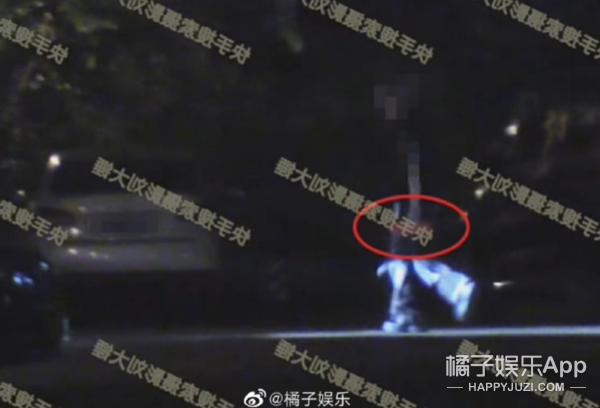 窦唯女儿窦佳嫄,窦唯二女儿窦佳嫄视频