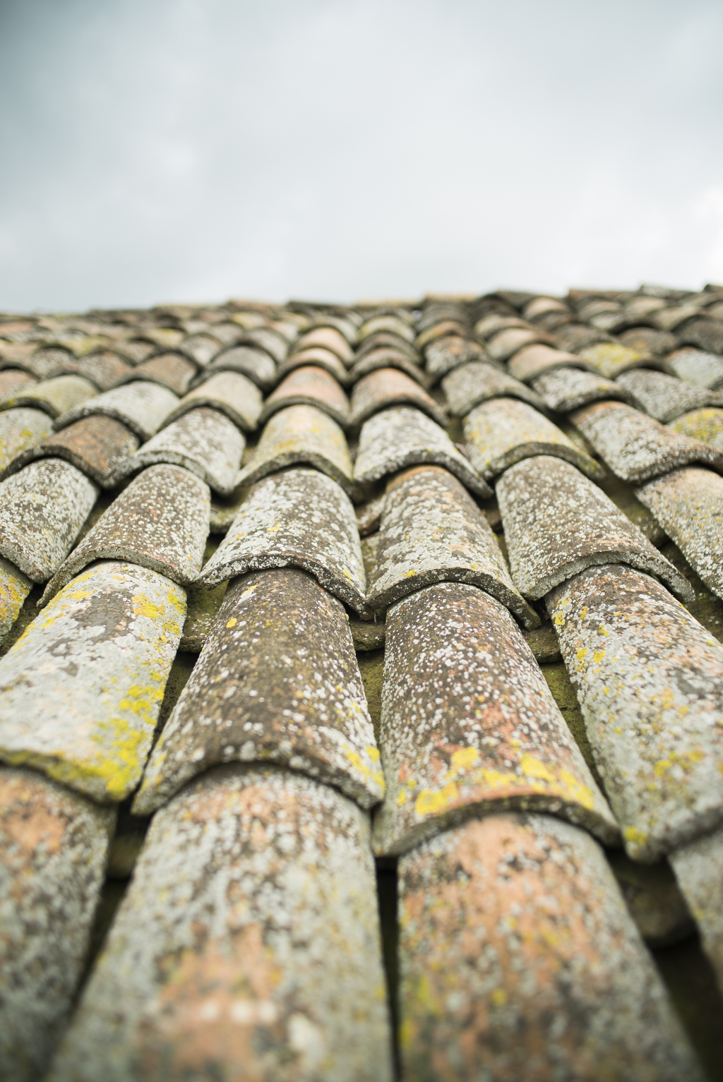 防水补漏诈骗新闻,电视台曝光补漏防水骗局