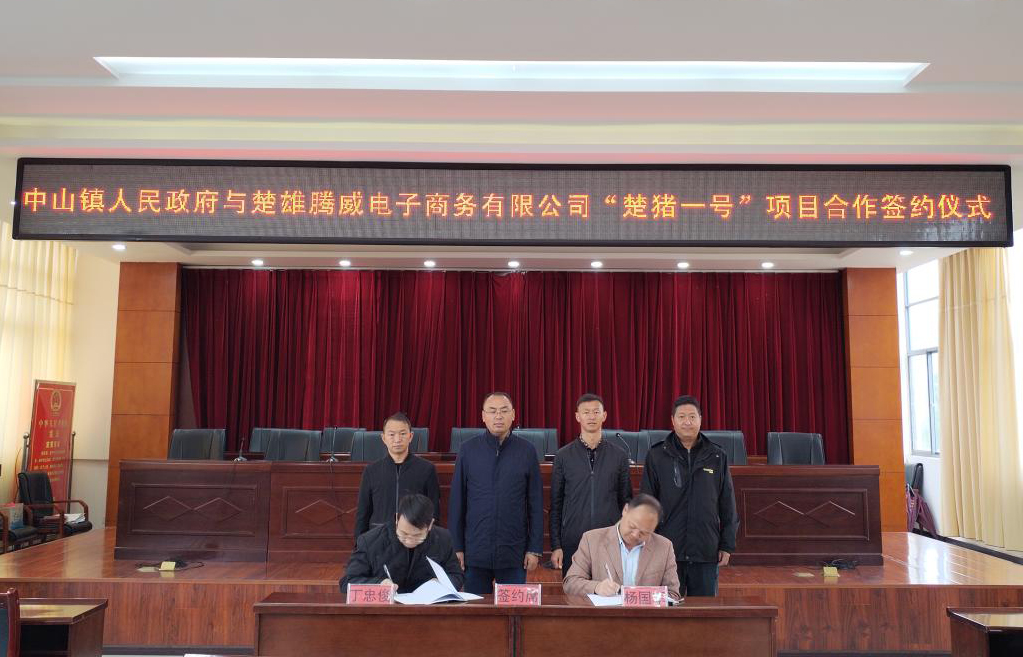 数字化转型赋能制造业高质量发展,数智赋能乡村治理