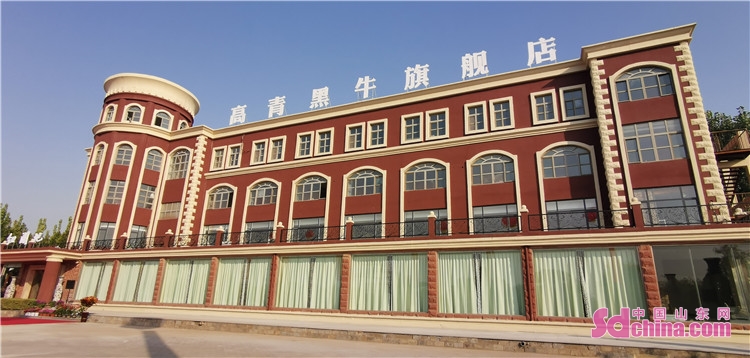 高青黑牛直营店,高青黑牛品牌专卖店