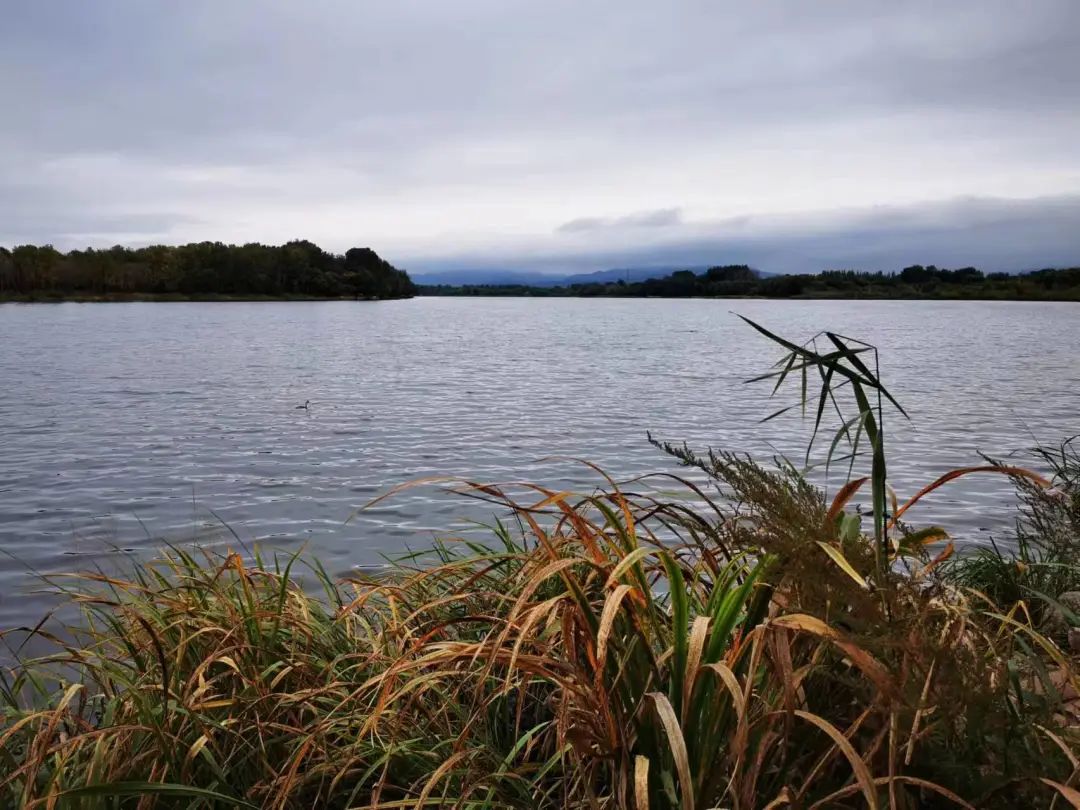 老俞讲人生感悟,老俞闲话人生
