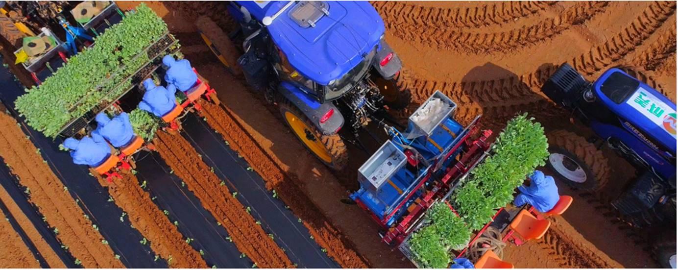 康师傅的发展战略,康师傅如何成为行业标杆