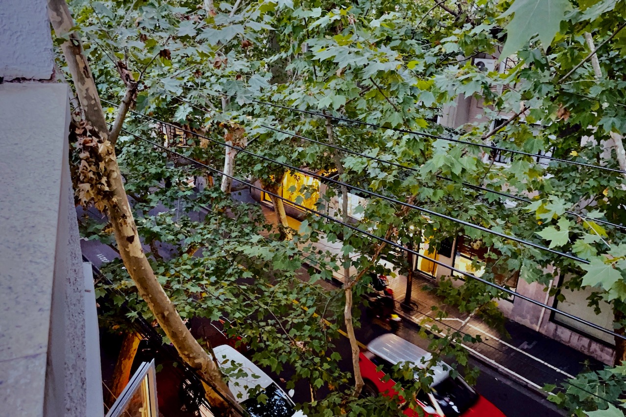 上海小店故事｜在“巨富长”改老房子，时髦劲回来了