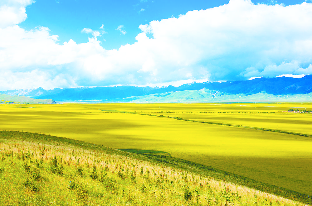 勠力同心勇于开拓书写辉煌篇章,勠力同心锐意进取逐梦前行