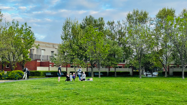在澳洲居住的利弊,在澳洲悉尼生活真实感受