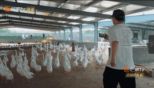 人变得越来越黄是怎么回事,为什么人的精神面貌会变