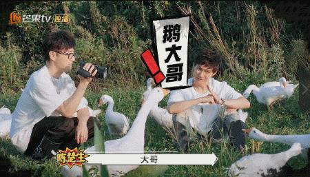 人变得越来越黄是怎么回事,为什么人的精神面貌会变