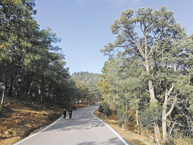 我市将打造全民健身,全民健身公共设施专项规划