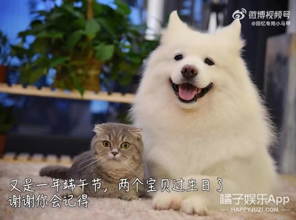 还记得“回忆专用小马甲”博主吗？他现在谈恋爱了？