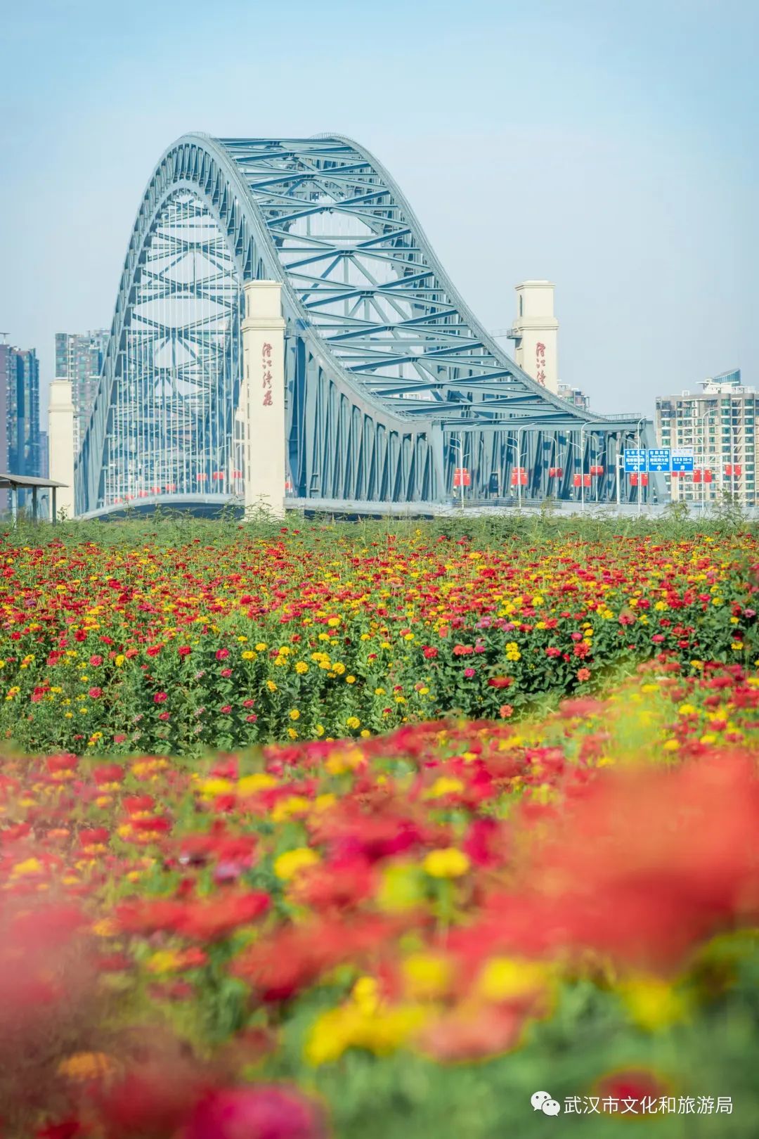 怎么拍一片花海,一片花海怎么拍