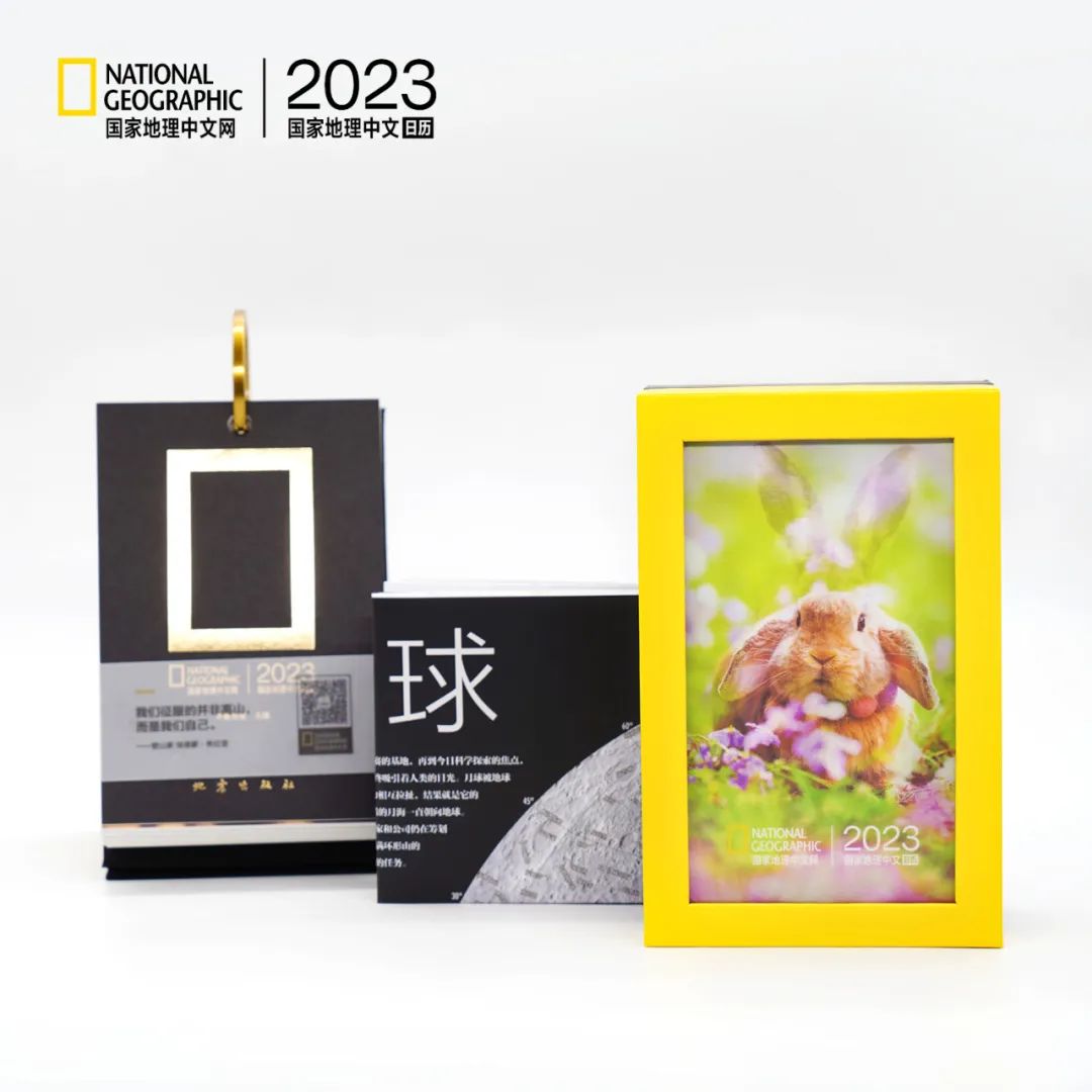 为什么中国人把龙称为dragon,中国龙是dragon吗