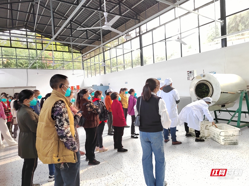 农科所开展春季生产技术培训,乡镇农业科技培训方案